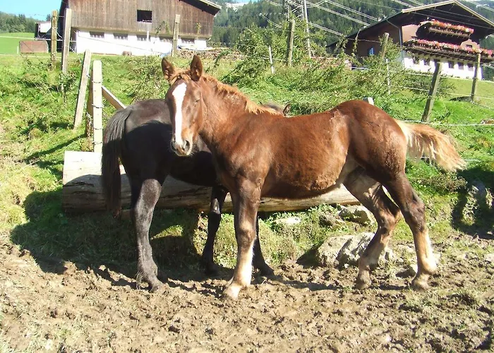 Bamerhof