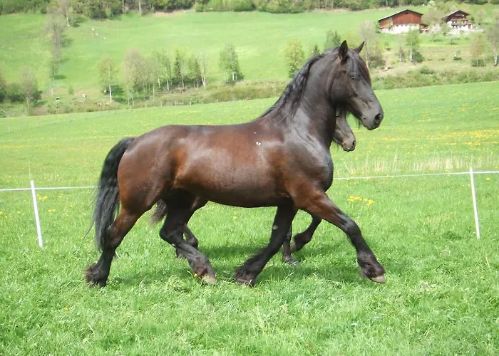 Bamerhof