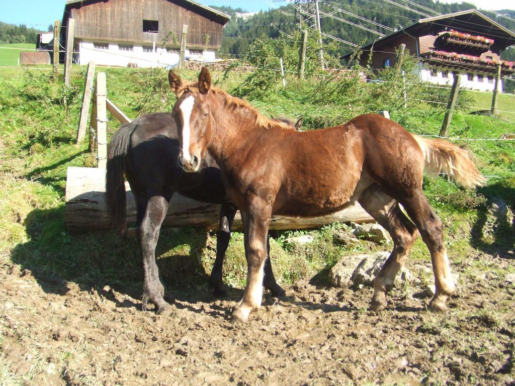 Bamerhof