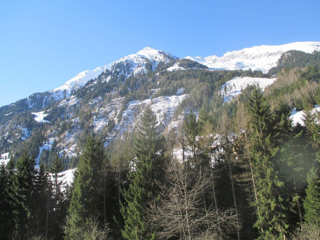 Bamerhof Farm stay *